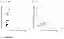 Fig. 32 - RECOMBINANT PROTEINS WITH CD40 ACTIVATING PROPERTIES
