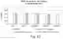 Fig. 33 - FORMULATIONS OF SINGLE DOMAIN ANTIGEN BINDING MOLECULES