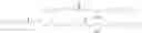 Fig. 610 - Biodegradable lipids for the delivery of active agents