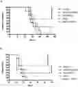 Fig. 01 - Novel Complex Comprising A Cell Penetrating Peptide, A Cargo And A TLR Peptide Agonist For Treatment Of Glioblastoma