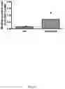 Fig. 27 - Novel Complex Comprising A Cell Penetrating Peptide, A Cargo And A TLR Peptide Agonist For Treatment Of Glioblastoma