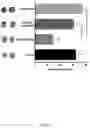 Fig. 34 - Novel Complex Comprising A Cell Penetrating Peptide, A Cargo And A TLR Peptide Agonist For Treatment Of Glioblastoma