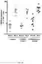Fig. 35 - Novel Complex Comprising A Cell Penetrating Peptide, A Cargo And A TLR Peptide Agonist For Treatment Of Glioblastoma