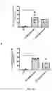 Fig. 43 - Novel Complex Comprising A Cell Penetrating Peptide, A Cargo And A TLR Peptide Agonist For Treatment Of Glioblastoma