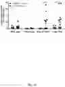 Fig. 49 - Novel Complex Comprising A Cell Penetrating Peptide, A Cargo And A TLR Peptide Agonist For Treatment Of Glioblastoma
