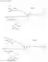 Fig. 04 - MULTIVALENT LIGAND CLUSTERS FOR TARGETED DELIVERY OF THERAPEUTIC AGENTS
