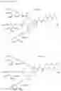 Fig. 11 - MULTIVALENT LIGAND CLUSTERS FOR TARGETED DELIVERY OF THERAPEUTIC AGENTS