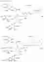 Fig. 14 - MULTIVALENT LIGAND CLUSTERS FOR TARGETED DELIVERY OF THERAPEUTIC AGENTS
