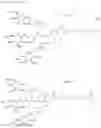 Fig. 16 - MULTIVALENT LIGAND CLUSTERS FOR TARGETED DELIVERY OF THERAPEUTIC AGENTS
