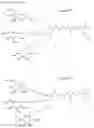 Fig. 17 - MULTIVALENT LIGAND CLUSTERS FOR TARGETED DELIVERY OF THERAPEUTIC AGENTS