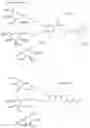 Fig. 20 - MULTIVALENT LIGAND CLUSTERS FOR TARGETED DELIVERY OF THERAPEUTIC AGENTS