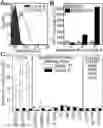 Fig. 01 - RNA Aptamers and Uses Thereof
