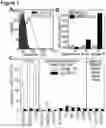 Fig. 02 - RNA Aptamers and Uses Thereof