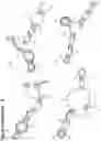 Fig. 04 - RNA Aptamers and Uses Thereof