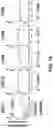 Fig. 11 - Poly(Beta-Thioester) Polymers and Polymeric Nanoparticles