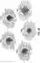 Fig. 14 - Poly(Beta-Thioester) Polymers and Polymeric Nanoparticles