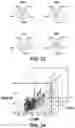 Fig. 17 - Poly(Beta-Thioester) Polymers and Polymeric Nanoparticles