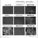 Fig. 01 - PEPTIDE AND USE THEREOF