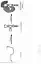 Fig. 02 - ANTIBODIES AND ENONOMERS