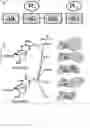 Fig. 06 - ANTIBODIES AND ENONOMERS