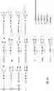 Fig. 07 - ANTIBODIES AND ENONOMERS