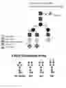Fig. 09 - ANTIBODIES AND ENONOMERS