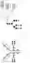 Fig. 10 - ANTIBODIES AND ENONOMERS