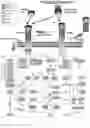 Fig. 13 - ANTIBODIES AND ENONOMERS