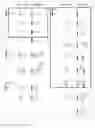 Fig. 19 - ANTIBODIES AND ENONOMERS