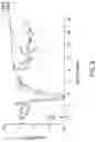 Fig. 10 - CONDITIONING METHODS FOR GENE THERAPY