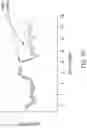 Fig. 12 - CONDITIONING METHODS FOR GENE THERAPY
