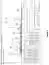 Fig. 06 - PEPTIDES DERIVED FROM TRANSIENT RECEPTOR POTENTIAL CATION CHANNEL SUBFAMILY M MEMBER 1 (TRPM1), COMPLEXES COMPRISING SUCH PEPTIDES BOUND TO MHC MOLECULES