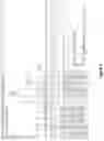 Fig. 10 - PEPTIDES DERIVED FROM TRANSIENT RECEPTOR POTENTIAL CATION CHANNEL SUBFAMILY M MEMBER 1 (TRPM1), COMPLEXES COMPRISING SUCH PEPTIDES BOUND TO MHC MOLECULES