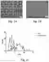 Fig. 02 - BIOMIMETIC ANISOTROPIC POLYMERIC PARTICLES WITH NATURALLY DERIVED CELL MEMBRANES FOR ENHANCED DRUG DELIVERY