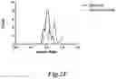 Fig. 05 - BIOMIMETIC ANISOTROPIC POLYMERIC PARTICLES WITH NATURALLY DERIVED CELL MEMBRANES FOR ENHANCED DRUG DELIVERY