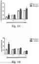 Fig. 08 - BIOMIMETIC ANISOTROPIC POLYMERIC PARTICLES WITH NATURALLY DERIVED CELL MEMBRANES FOR ENHANCED DRUG DELIVERY