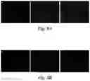 Fig. 11 - BIOMIMETIC ANISOTROPIC POLYMERIC PARTICLES WITH NATURALLY DERIVED CELL MEMBRANES FOR ENHANCED DRUG DELIVERY