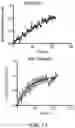 Fig. 16 - BIOMIMETIC ANISOTROPIC POLYMERIC PARTICLES WITH NATURALLY DERIVED CELL MEMBRANES FOR ENHANCED DRUG DELIVERY