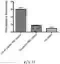 Fig. 18 - BIOMIMETIC ANISOTROPIC POLYMERIC PARTICLES WITH NATURALLY DERIVED CELL MEMBRANES FOR ENHANCED DRUG DELIVERY
