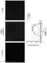 Fig. 20 - BIOMIMETIC ANISOTROPIC POLYMERIC PARTICLES WITH NATURALLY DERIVED CELL MEMBRANES FOR ENHANCED DRUG DELIVERY
