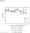Fig. 22 - HYPOXIA-INDUCING CRYOGELS