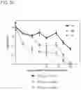 Fig. 23 - HYPOXIA-INDUCING CRYOGELS