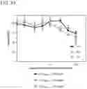 Fig. 24 - HYPOXIA-INDUCING CRYOGELS