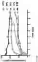 Fig. 03 - DELIVERY OF MACROMOLECULES INTO THE CENTRAL NERVOUS SYSTEM VIA THE BLOODSTREAM