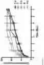 Fig. 04 - DELIVERY OF MACROMOLECULES INTO THE CENTRAL NERVOUS SYSTEM VIA THE BLOODSTREAM
