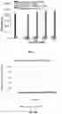 Fig. 02 - Doxorubicin Containing Nanoplexes and Uses Thereof