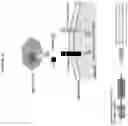 Fig. 06 - FASL IMMUNOMODULATORY GENE THERAPY COMPOSITIONS AND METHODS FOR USE