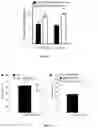 Fig. 08 - IMPROVED THERAPEUTIC METHOD FOR RARE OCULAR DISEASES BY GENE REPLACEMENT
