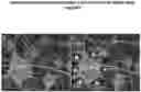 Fig. 01 - NEW GENE THERAPY CONSTRUCTS
