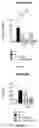 Fig. 05 - NEW GENE THERAPY CONSTRUCTS
